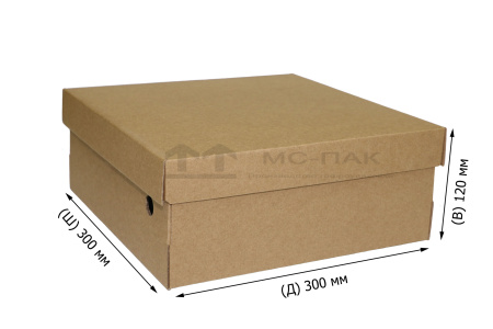 Обувная коробка Т-12 300х300х120 мм бурый
