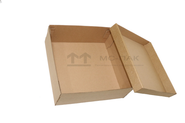 Обувная коробка Т-12 280х280х100 мм